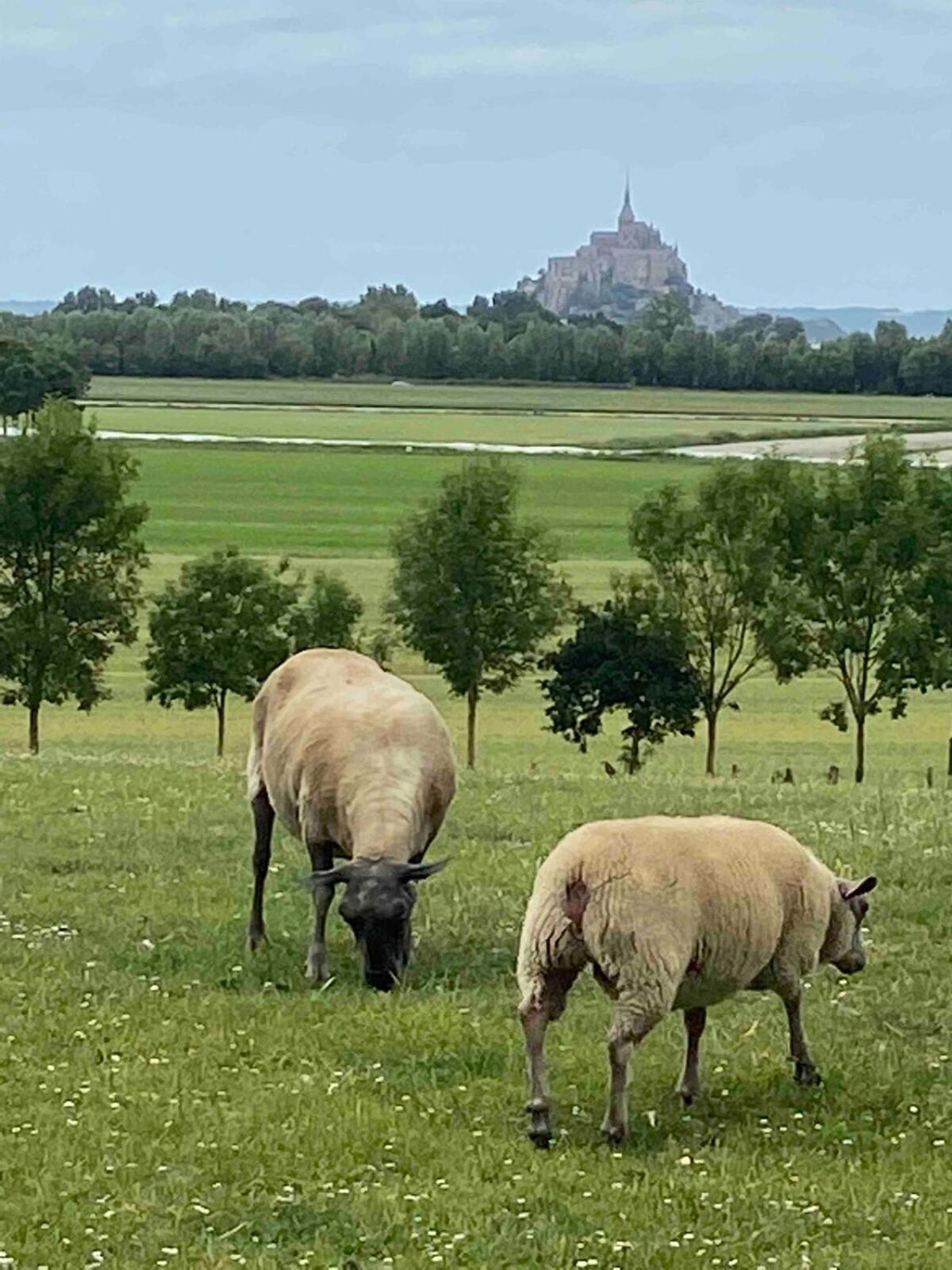 Gites Le Mont Desclos Saint Michel Beauvoir  Kamer foto